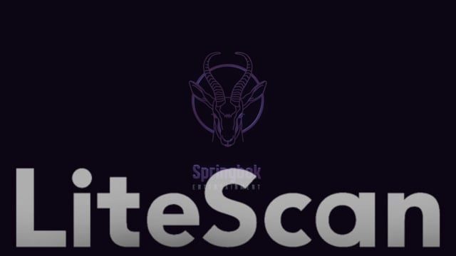 Sphere Avatar Scanners — 5